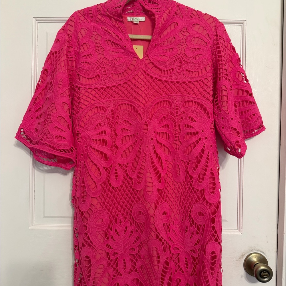 Jade Vibrant Pink Lace Mini Dress